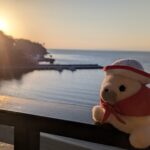 日記 (2026年2月)