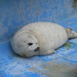 日記 (2026年3月)